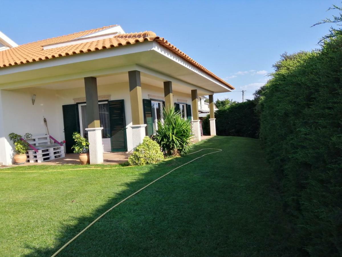 Terreno Das Mimosas Apartment Aveiro Exterior photo